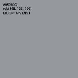 #95989C - Mountain Mist Color Image